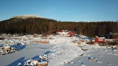 DJI 0003