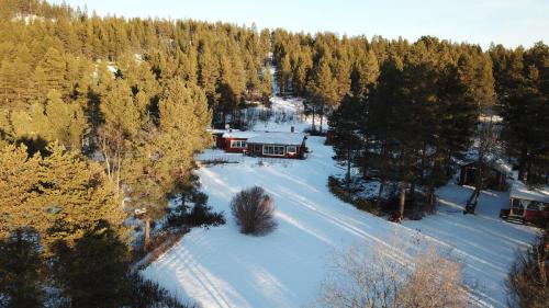 DJI 0004
